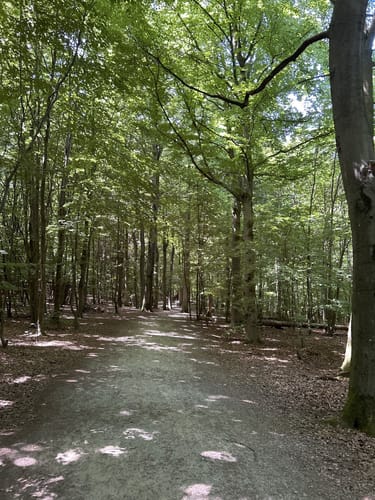 Kermeter entlang der Urft