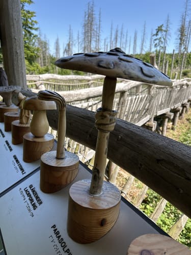 Kermeter entlang der Urft