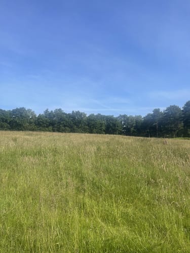 Zur Fischbeker Heide