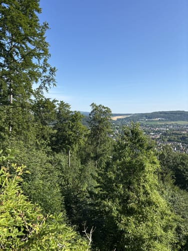 Zu Besuch im Paradies