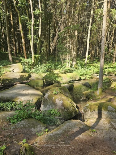 Wanderung Lerautal 2: Zur Felsengruppe Hohes Bäuml