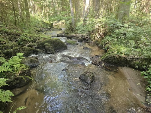 Wanderung Lerautal 2: Zur Felsengruppe Hohes Bäuml