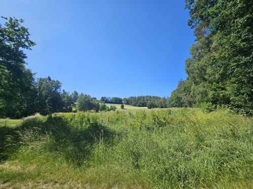 Wanderung Lerautal 2: Zur Felsengruppe Hohes Bäuml