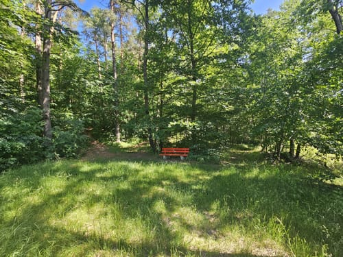 Wanderung Lerautal 2: Zur Felsengruppe Hohes Bäuml
