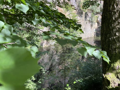 Lieblingstal und Wesenitztal Rundweg über Breiter Stein