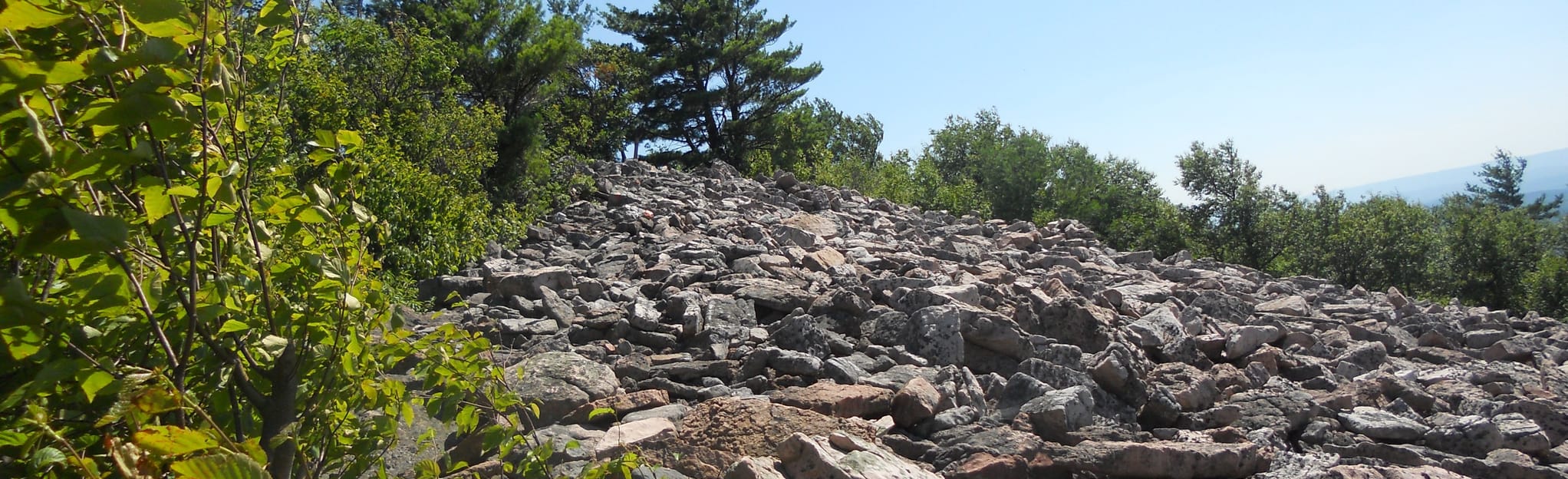 Stone Mountain Overlook 112 Reviews, Map Pennsylvania AllTrails