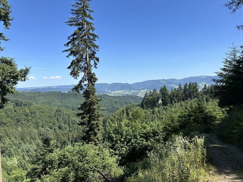 Freiburg - Rosskopf
