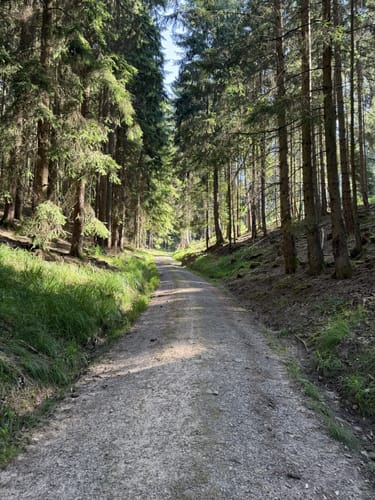 Bad Orb Rundwanderweg 4 (Bildeichenweg)