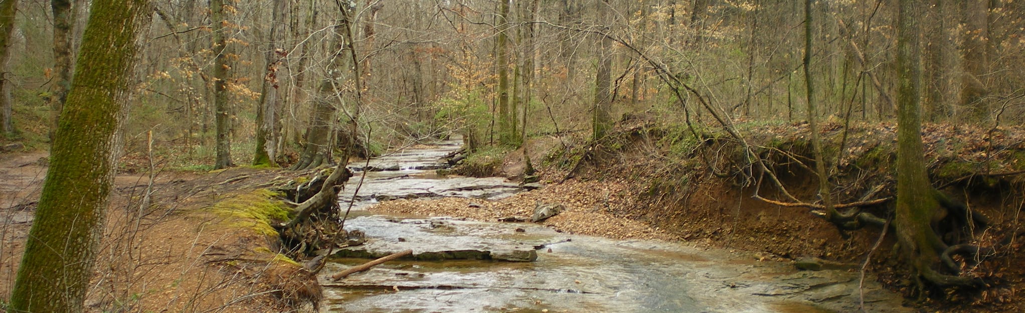 Rotary Park Loop: 888 Reviews, Map - Tennessee | AllTrails