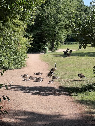 Darmstadter Wildpark-Weg