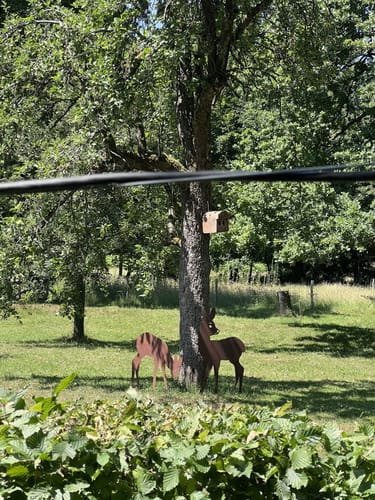 Darmstadter Wildpark-Weg