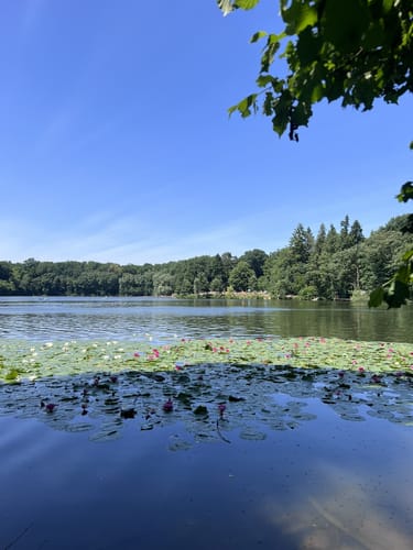 Darmstadter Wildpark-Weg