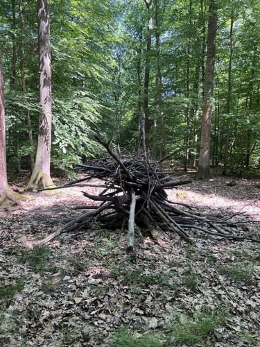 Darmstadter Wildpark-Weg