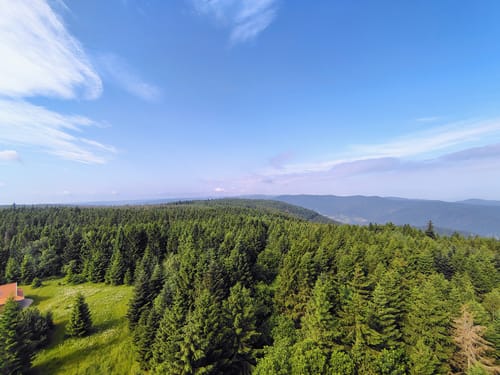 Hochmoor Kaltenbronn