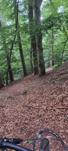 Durch das Sternberger Seeland ab Weitendorf (MTB)