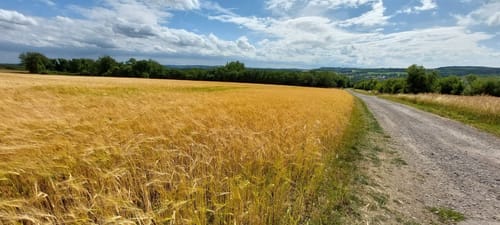 Alter Grenzweg Berus