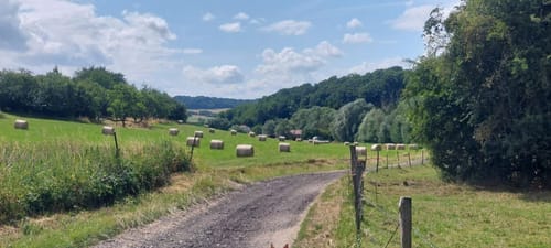 Alter Grenzweg Berus