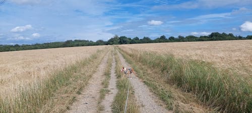 Alter Grenzweg Berus
