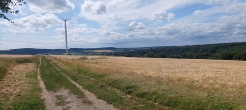 Alter Grenzweg Berus