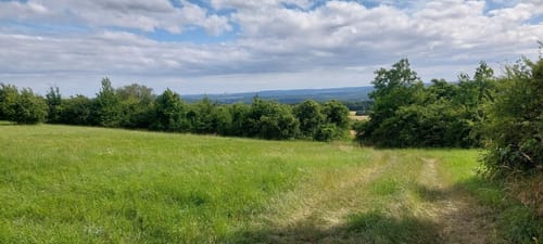 Alter Grenzweg Berus