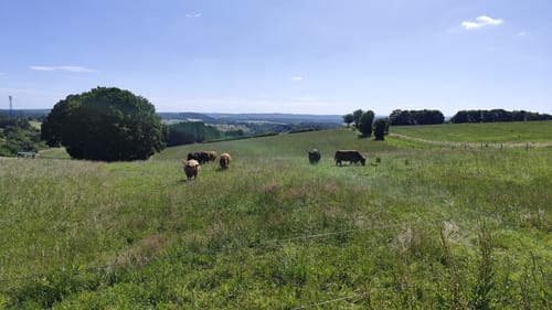 Von Gönnersdorf entlang dem Toedtbach