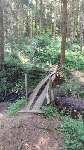 Von Gönnersdorf entlang dem Toedtbach