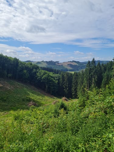 Birkenbrauck Rundweg A4