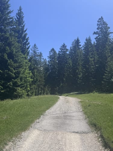 MTB Tour: Esterbergalm - Gschwandtnerbauer