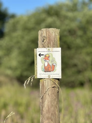 Zu Besuch beim Braunkehlchen (RuT3)