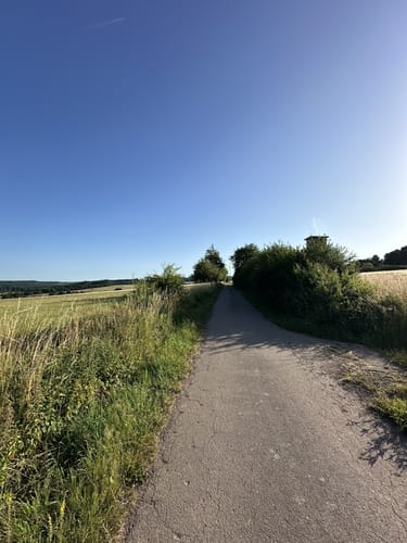 Zu Besuch beim Braunkehlchen (RuT3)