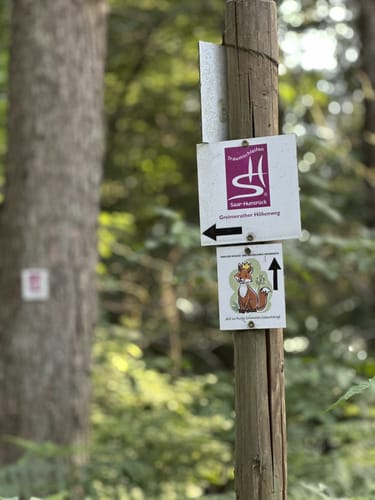Zu Besuch beim Braunkehlchen (RuT3)