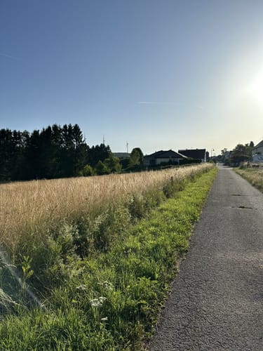 Zu Besuch beim Braunkehlchen (RuT3)