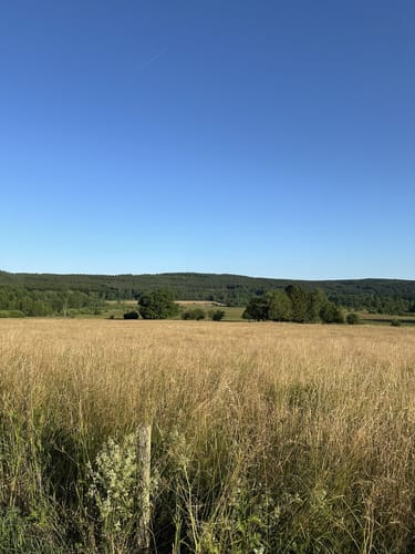 Zu Besuch beim Braunkehlchen (RuT3)