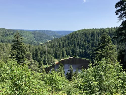 Glaswaldsee - Teufelskanzel - Südliche Griesbacher Wasserfälle