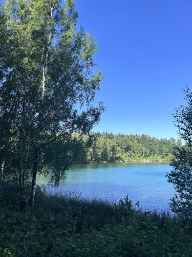 Murner See Weg