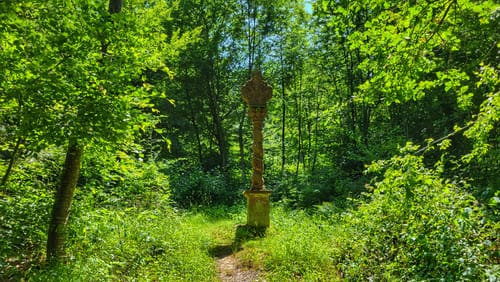 Liebliches Taubertal - Der Klassiker Etappe 3: Tauberbischofsheim - Wertheim
