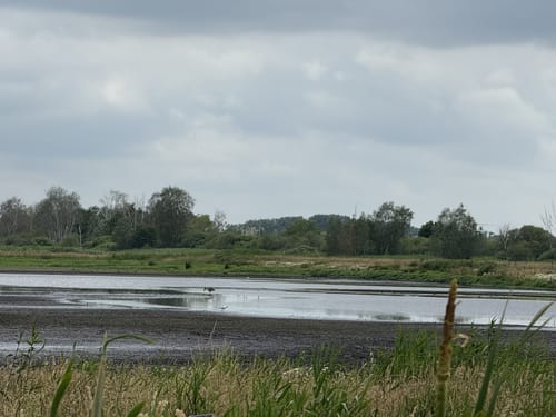 Steinhuder Meer Rundweg