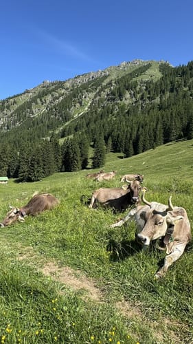 Rauhhorn (2241m) via Schrecksee