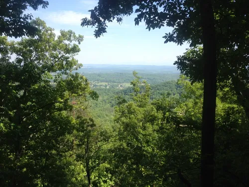 Best Hikes and Trails in House Mountain State Natural Area | AllTrails