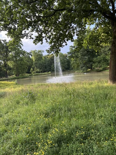 Schloss Homburg und Kurpark
