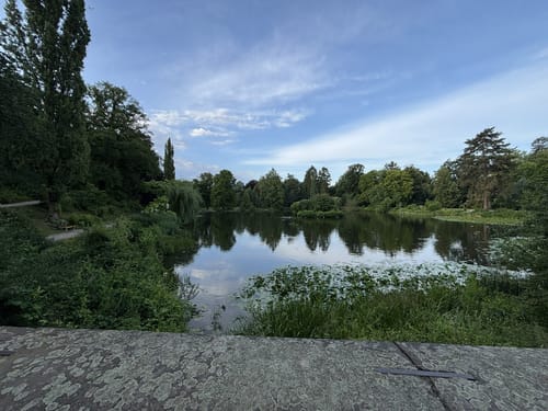 Schloss Homburg und Kurpark