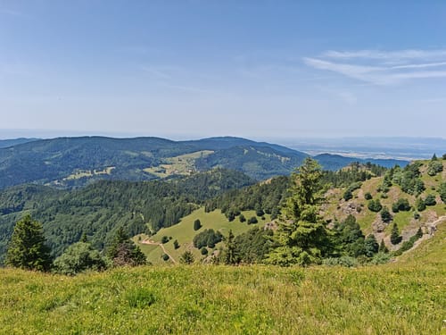 Belchensteig (Genießerpfad)
