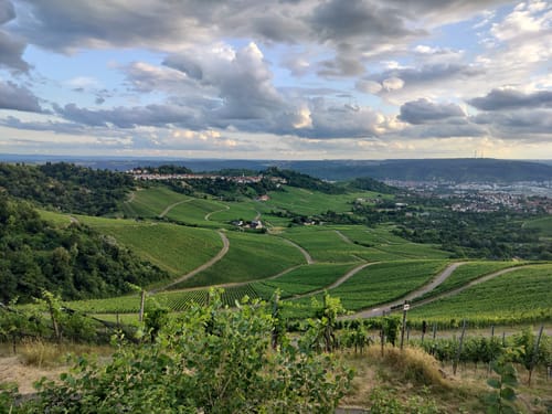 Um den Kappelberg