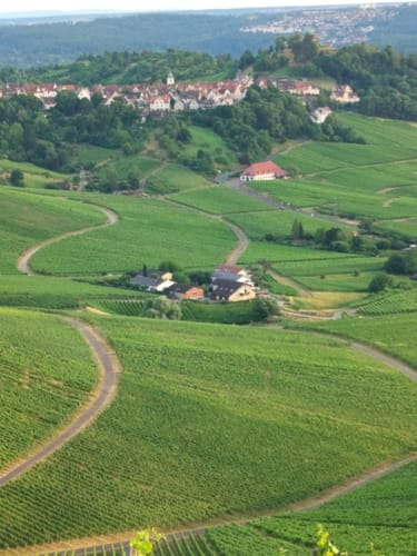 Um den Kappelberg