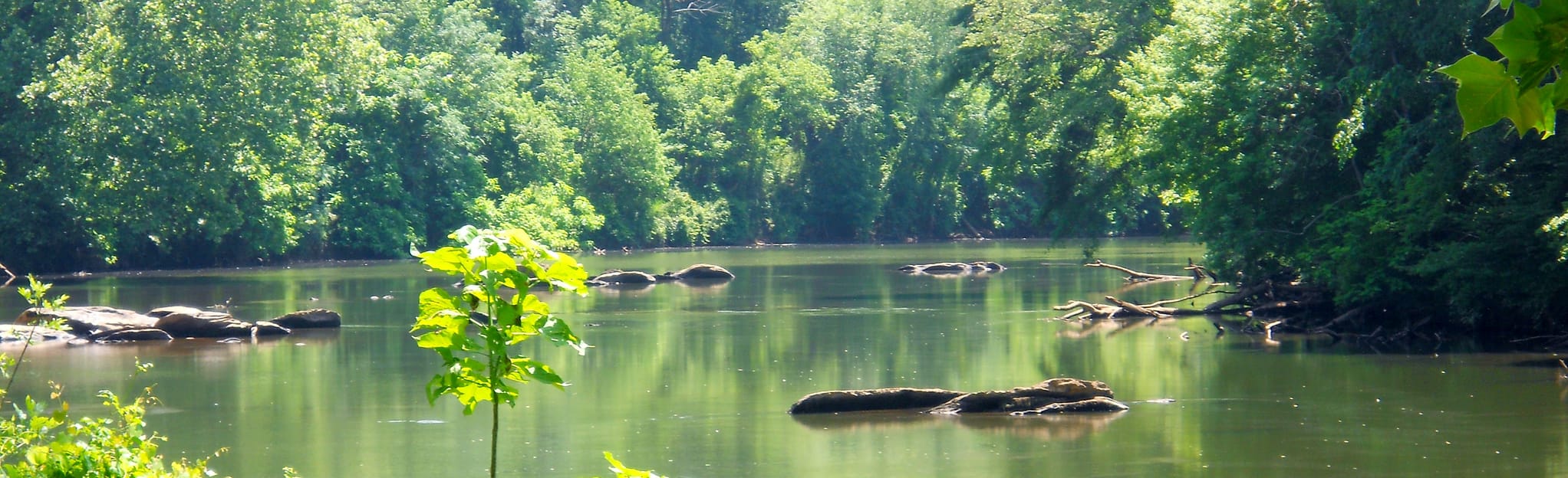 Horseshoe Bend Trail, Alabama 143 Reviews, Map AllTrails