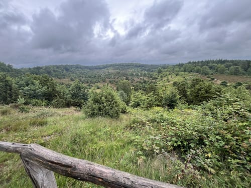 Rundwanderweg Oberhaverbeck O2