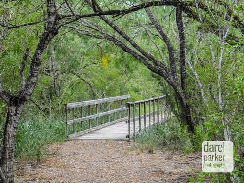 Best 10 Trails In Bentsen Rio Grande Valley State Park Alltrails