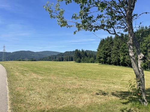 Hinterzarten und Ravennaschlucht
