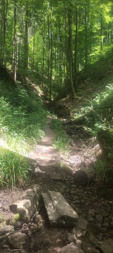 Am Dentelbach zum Hohlen Stein