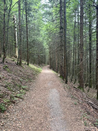 Todtnau - Hasenhorn - Gisiboden - Bernauer Kreuz